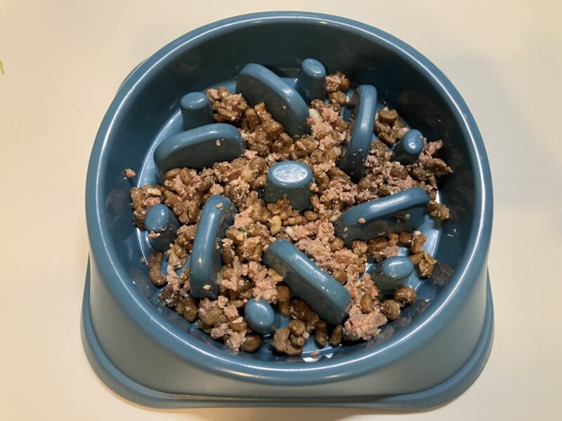 既存フード8:モグワン2で混ぜた、早食い防止容器に入れたフード